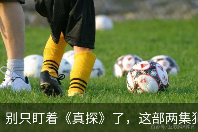 别只盯着《真探》了，这部两集犯罪剧才是完美替代